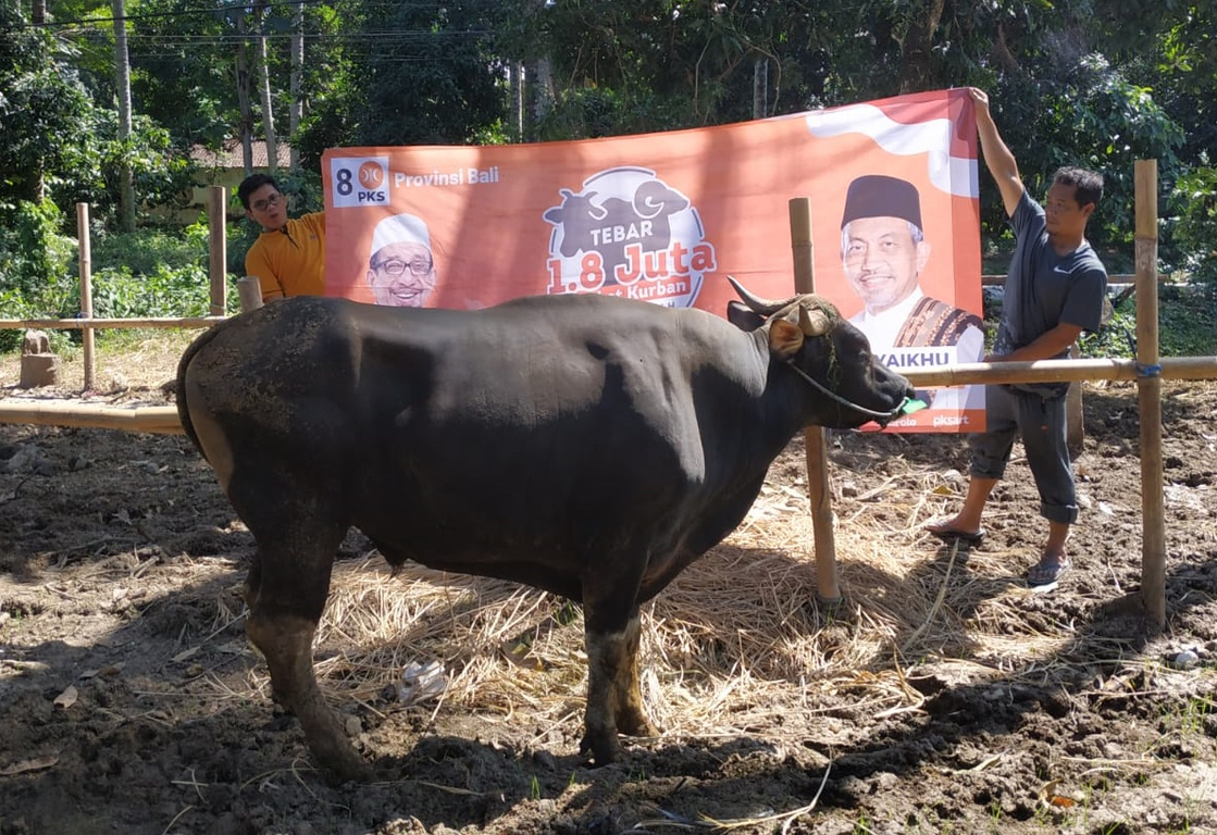 Tebar 1,8 Juta Paket Kurban di Bali