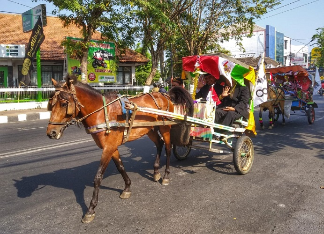 Anggota DPRD Kab. SUkoharjo Fraksi PKS menuju tempat pelantikan diantar dengan dokar