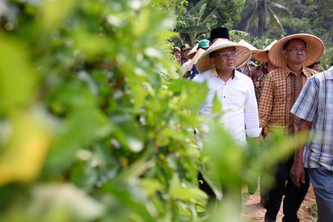 Presiden PKS Mohamad Sohibul Iman (ilustrasi). Foto: M Hilal