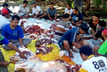 Salah satu sapi yang menjadi hewan qurban diikat oleh petugas RPH.