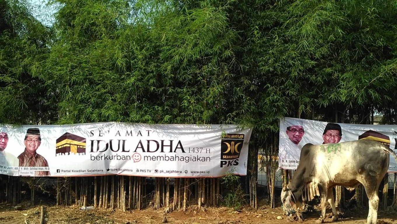 PKS distribusikan 76 ribu hewan kurban. (foto: detik.com)