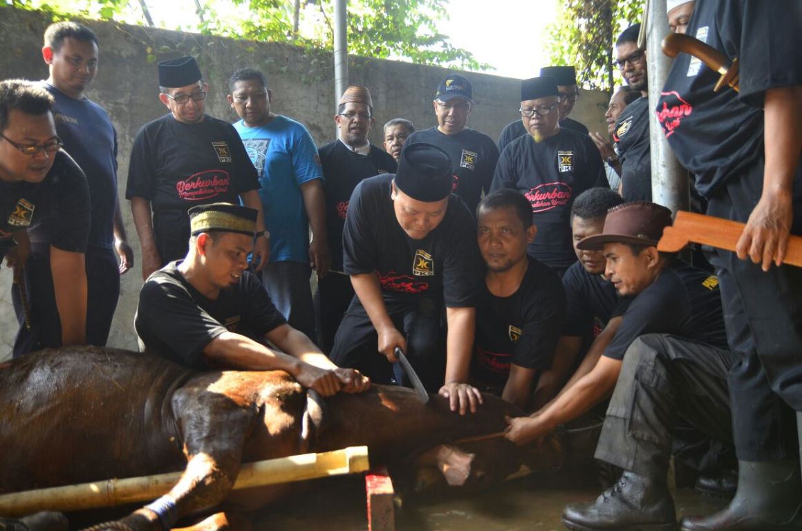 Wakil Ketua Majelis Syuro PKS Hidayat Nur Wahid turut memotong hewan kurban di DPP PKS, Ahad (3/9). PKS menyalurkan hampir 70 ribu hewan kurban ke masyaraka tahun 2017. (PKS Foto)