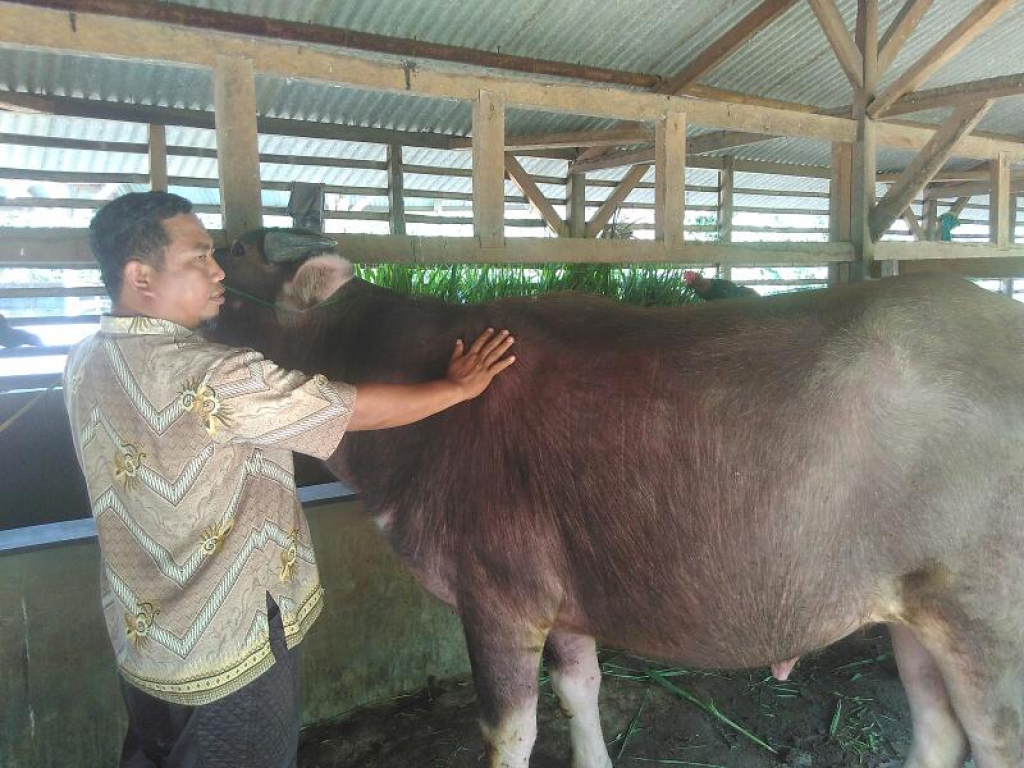 Mantan Ketua Fraksi PKS DPRD Propinsi Banten Sudarman