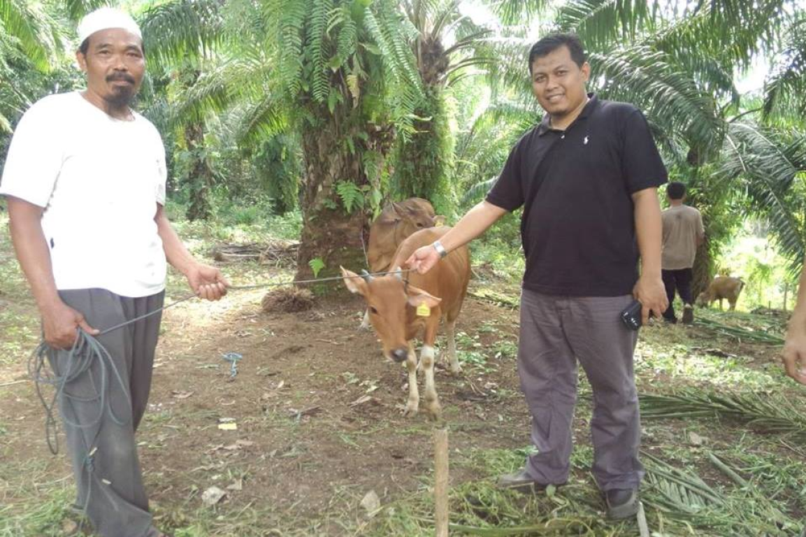 Sujono Saat Menyerahkan Sapi Kurban (ilustrasi)