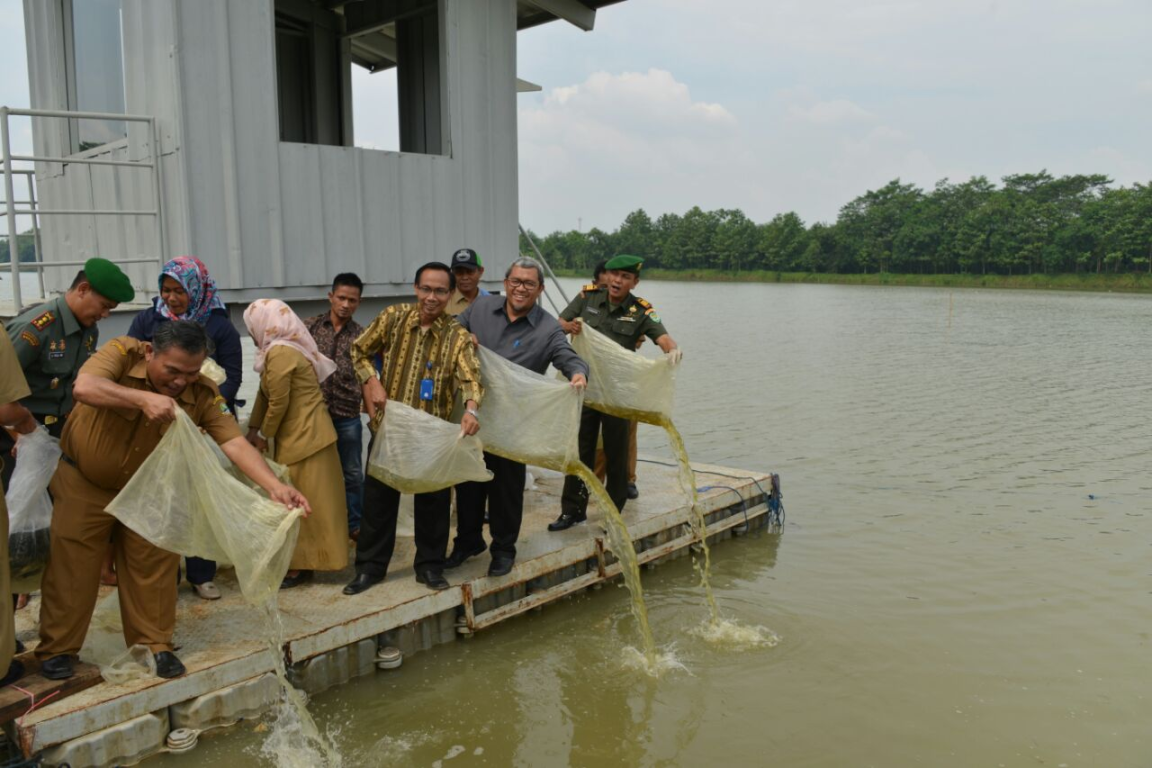 Gubernur Jawa Barat Ahmad Heryawan (Aher) menebarkan satu juta benih ikan