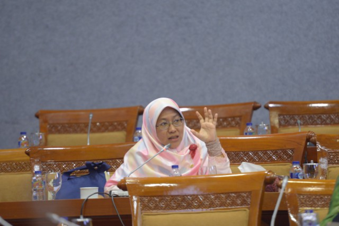 Anggota Fraksi PKS DPR RI Ledia Hanifa (dok dpr.go.id)