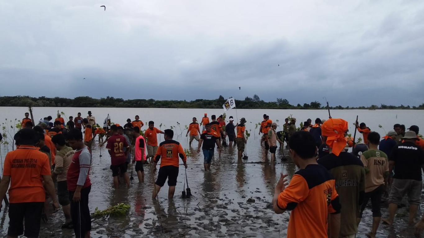 Penanaman bakau (mangrove) di pesisir pantai Mappakasunggu, Kabupaten Takalar, Sulawesi Selatan, Ahad (30/12) (dok beritakotamakassar.fajar.co.id)