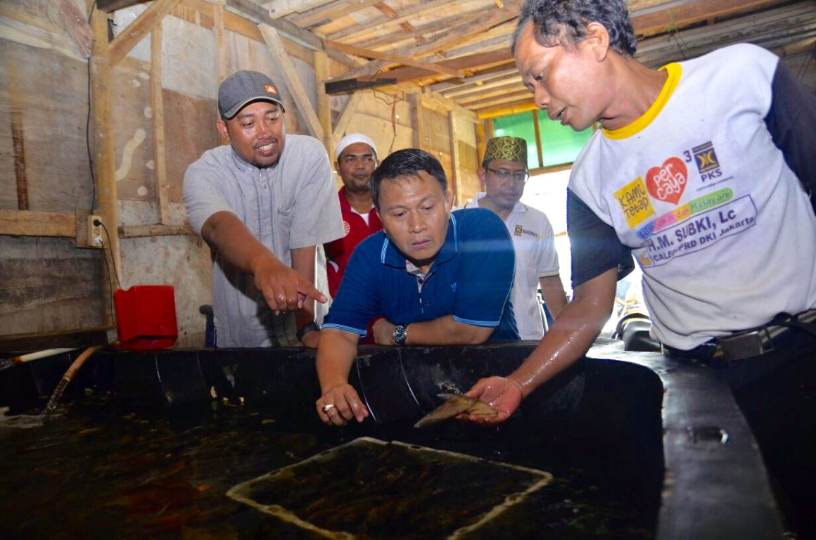 Cawagub DKI Mardani sedang bersama warga Kawasan Hutan Mangrove, Muara Angke, Jakarta Utara