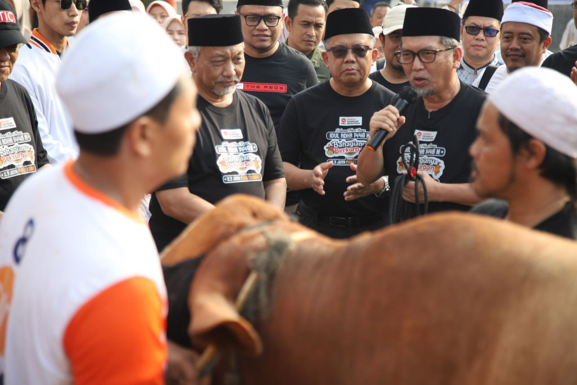 Presiden PKS Almuzzammil Yusuf menyembelih sapi kurban. (PKSFoto/Donny)